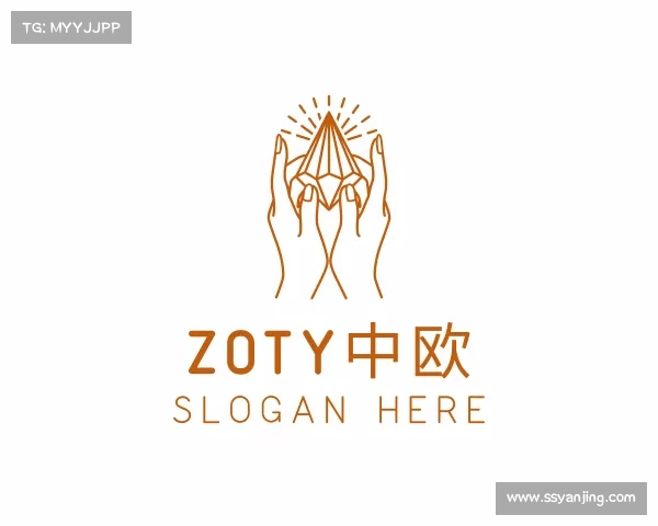 认识zoty中欧